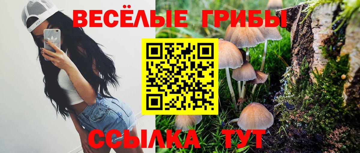 наркошоп  Вход с VPN  Асино  Галлюциногенные грибы мицелий  Галлюциногенные грибы ЛСД 
